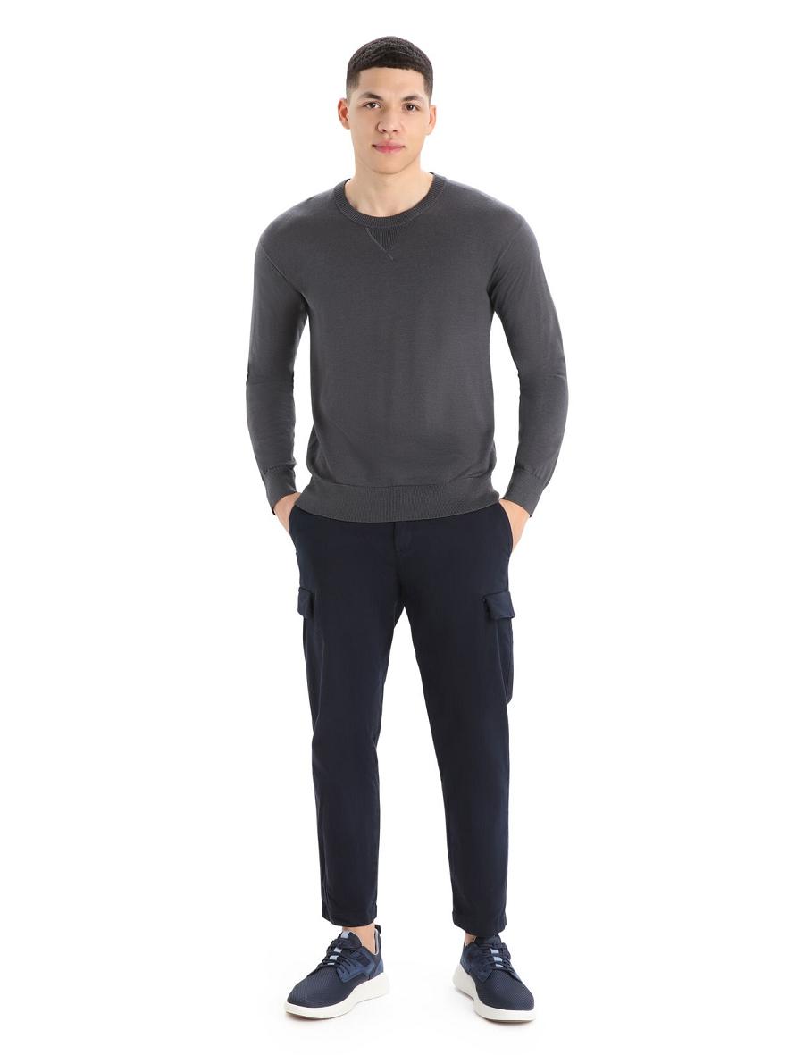 Chandails Icebreaker Cool-Lite™ Merino Nova Sweatshirt Homme Argent Grise | FR 1216CTVE